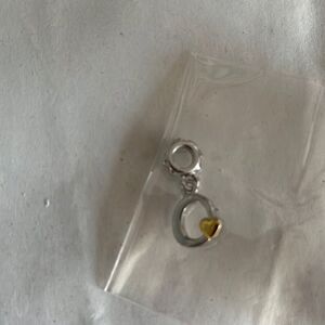 Necklace or Bracelet Charm